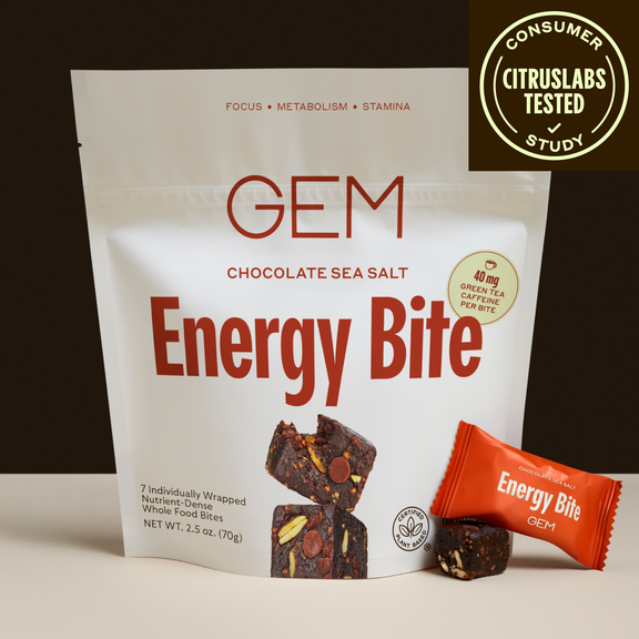 GEM Energy Bite - Chocolate Sea Salt