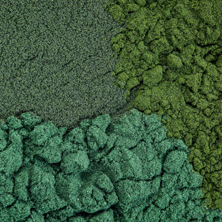 GEM Obsession: Chlorella Benefits
