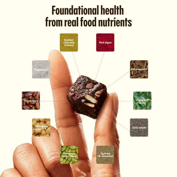 GEM Daily Bite - Cacao