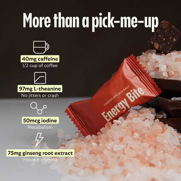 GEM Energy Bite - Chocolate Sea Salt
