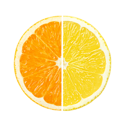 Orange_Lemon_Transparent-(1).png