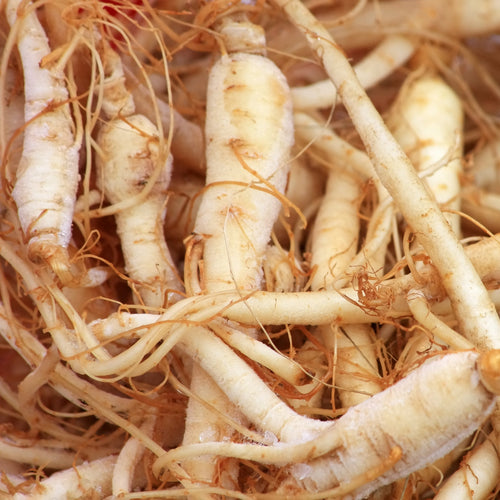 Ginseng root