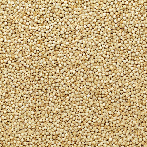 Quinoa